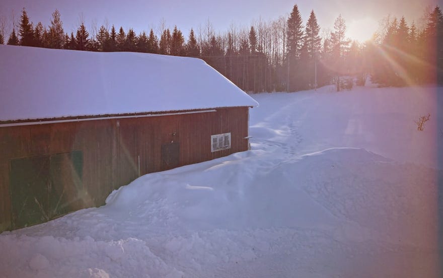 sneeuw, zweden, vakantie