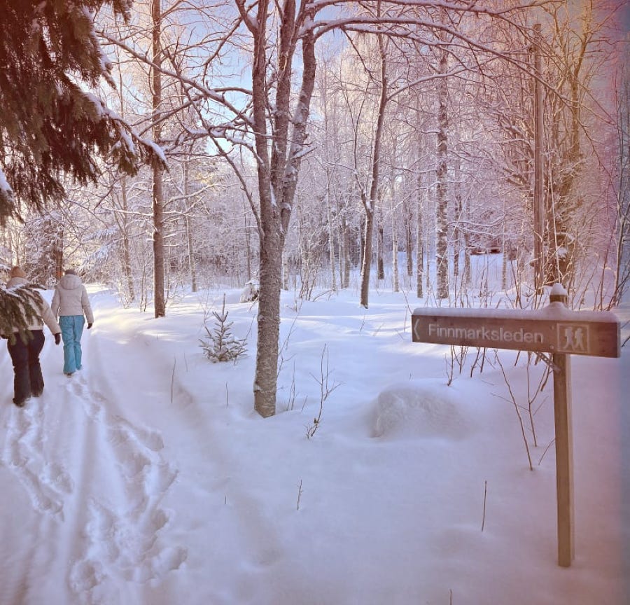 sneeuw, zweden, vakantie